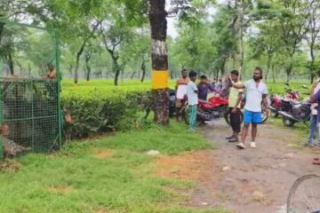 जीती चिया बगानमा खोरमा फसेको चितुवा