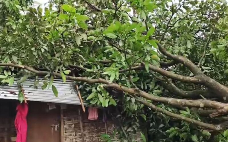 चोपडाका धेरै गाउँहरूमा आँधीबेहरीले विनाश मच्चायो, सयौं घरहरू क्षतिग्रस्त
