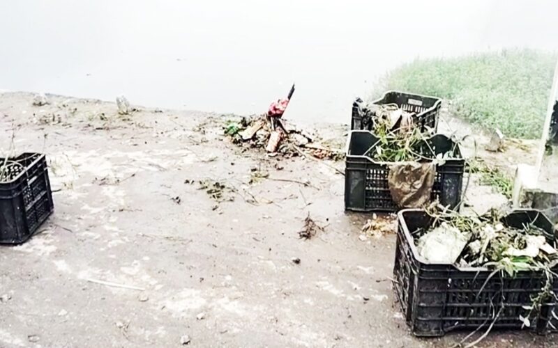 मिरिक झीलमा सफाई अभियान