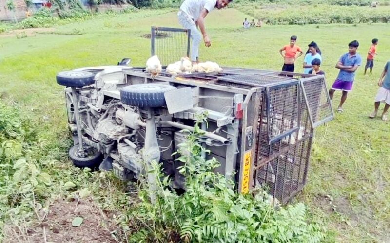 कुखुरा बोकेको गाड़ी दुर्घटनाग्रस्त