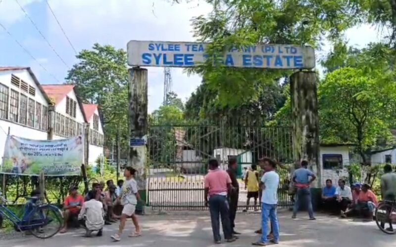 २०% बोनसको माग गर्दै साइली चिया बगानमा मजदुरहरूको विरोध प्रदर्शन, काम पूर्ण रूपमा ठप्प