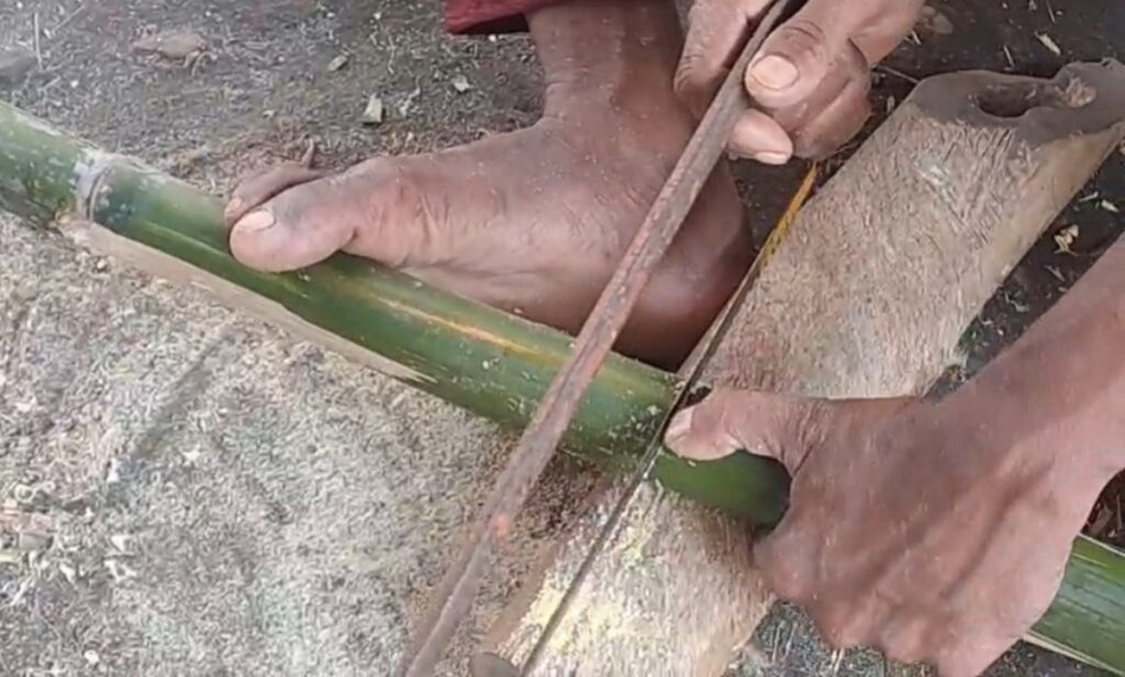 जलपाईगुडीमा छठ पूजाको लागि बाँसका सामान बेच्ने पसलहरू फस्टाएका छन्—बढ्दो मूल्यले व्यापारीहरू चिन्तित छन्