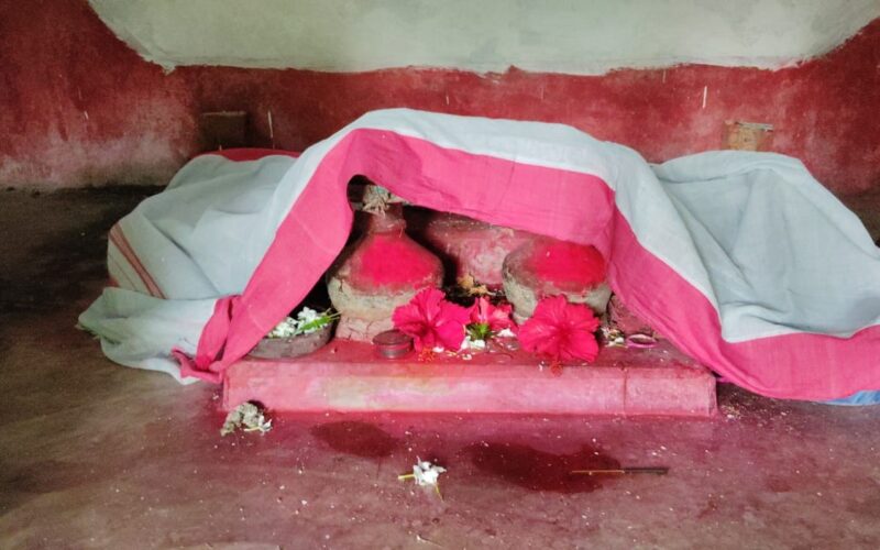 २५० वर्ष पुरानो अरण्य काली पूजाले सुन्दरवन वनको परम्परालाई कायम राखेको छ