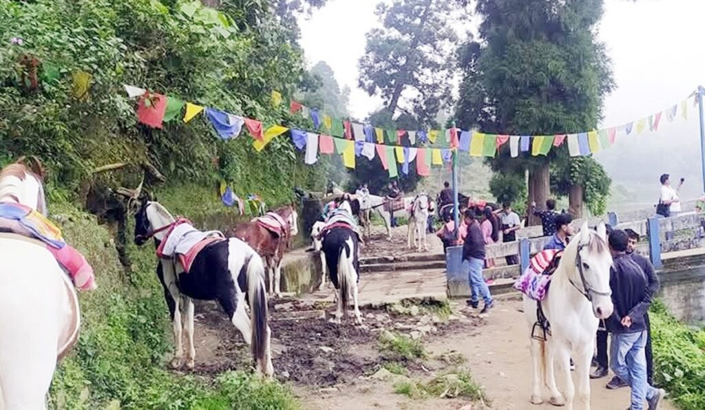 घोड़ा सवारीतर्फ आकर्षित बन्दै पर्यटकहरू