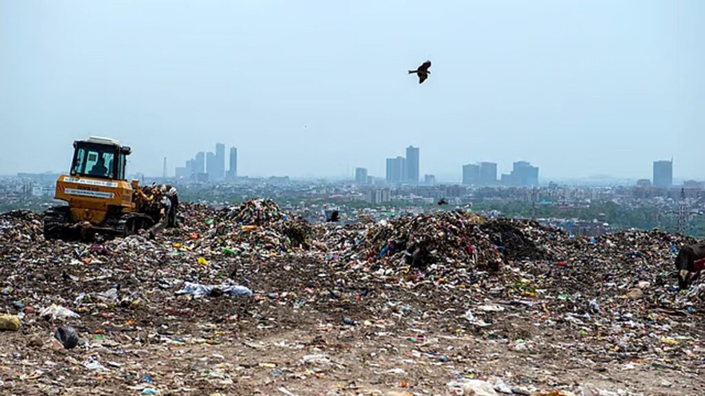 जलपाइगढ़ी नगरपालिकाविरुद्ध उच्च न्यायालयमा मुद्दा