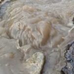 जलपाईगुडी: पानीको पाइप फुट्दा सडक डुबानमा परेको छ, जनता आक्रोशित छन्