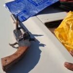 एनजेपी मोड बजारबाट हतियार र गोलीगठ्ठा सहित एक जना पक्राउ: प्रहरीले अनुसन्धान गरिरहेको छ