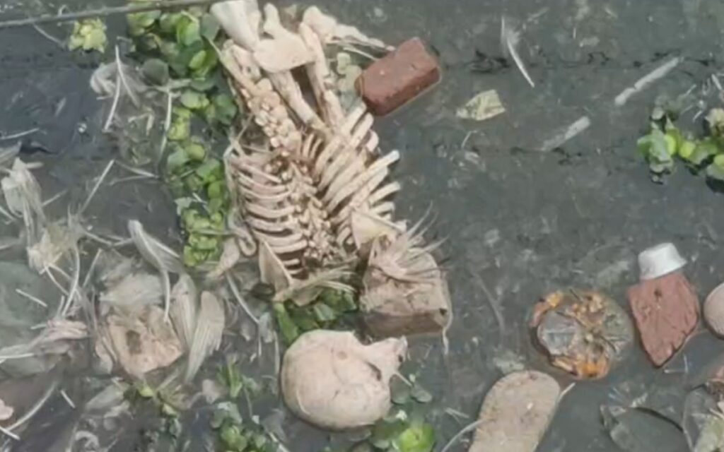 अत्राई खोलामा तैरिरहेको कंकाल देखेपछि आतंक मच्चियो, प्रहरी अनुसन्धानमा जुटे बालुरघाट