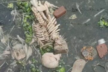 अत्राई खोलामा तैरिरहेको कंकाल देखेपछि आतंक मच्चियो, प्रहरी अनुसन्धानमा जुटे बालुरघाट