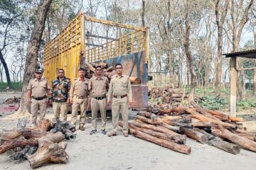 काठ तस्कर गिरोह पक्राउ