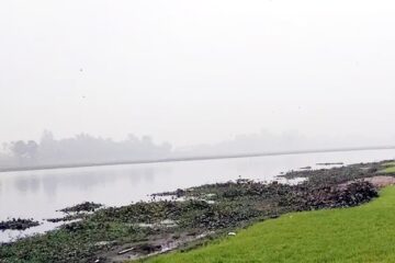 गौड़ र मालियन दिगीका माछा बेचेर राजस्व उठाउने सङ्केत