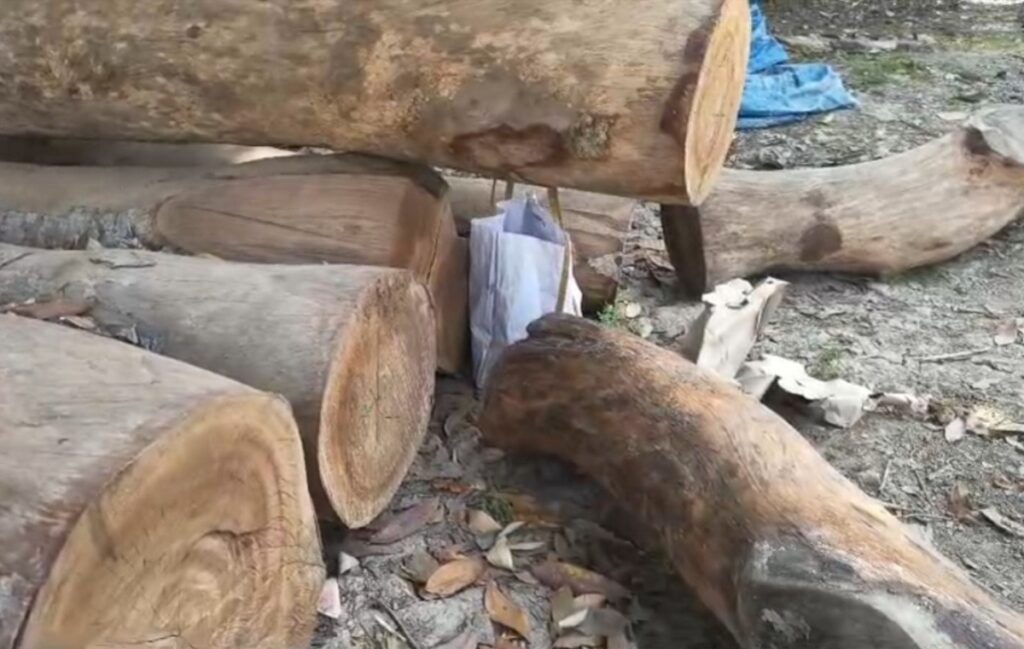 बंगाल: ताजा बमले भरिएको झोला बरामद, क्षेत्रमा सनसनी मच्चियो