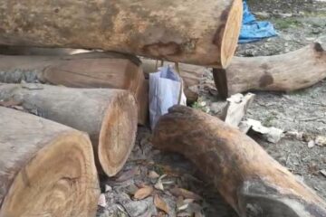 बंगाल: ताजा बमले भरिएको झोला बरामद, क्षेत्रमा सनसनी मच्चियो