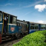 144 वर्षको कीर्तिमान तोड्दै टोय ट्रेन