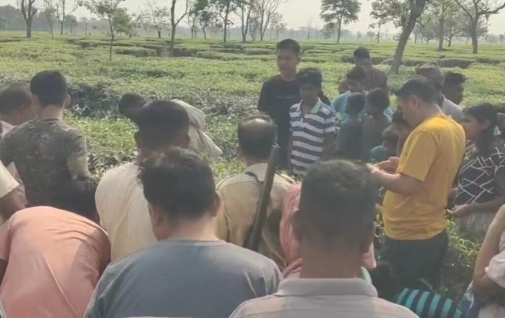 चिया बगानमा सडकको छेउमा चितुवाको शव फेला पर्यो, जसले गर्दा क्षेत्रमा हंगामा मच्चियो