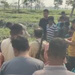 चिया बगानमा सडकको छेउमा चितुवाको शव फेला पर्यो, जसले गर्दा क्षेत्रमा हंगामा मच्चियो