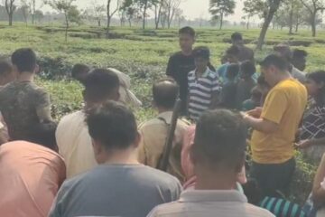 चिया बगानमा सडकको छेउमा चितुवाको शव फेला पर्यो, जसले गर्दा क्षेत्रमा हंगामा मच्चियो