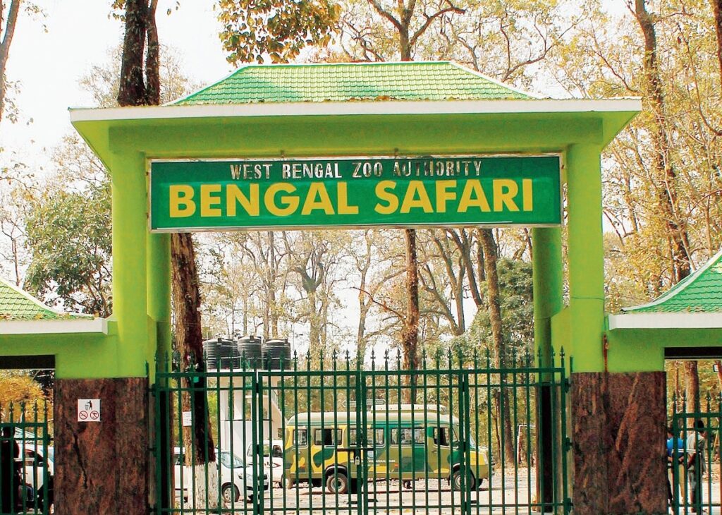 जटिलताले सिंह सफारीमा बाधा