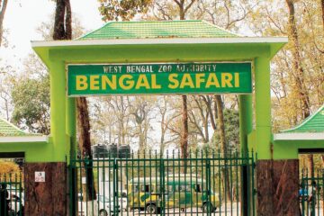 जटिलताले सिंह सफारीमा बाधा