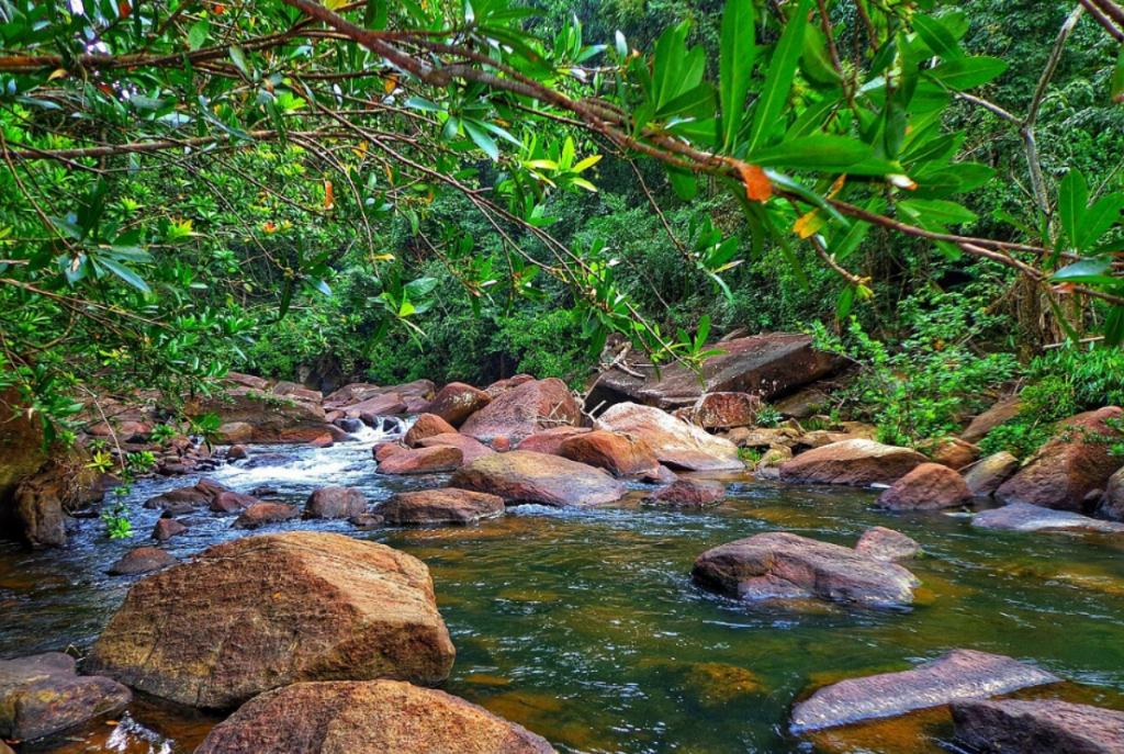 आदिलाबाद नजिकै तेलंगानाको लुकेको प्राकृतिक रिट्रीट