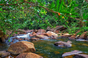 आदिलाबाद नजिकै तेलंगानाको लुकेको प्राकृतिक रिट्रीट