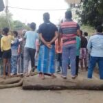 मतदाता सूचीबाट आफ्नो नाम हटाइएपछि गाउँलेहरूको आक्रोश, राज्य सडकमा रहेको रूख ढालेर विशाल विरोध प्रदर्शन