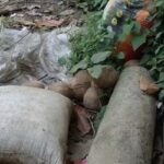 चुनाव प्रचारको अन्तिम दिन विद्यालय अगाडि ८ वटा जिउँदो बम फेला, क्षेत्रमा त्रास