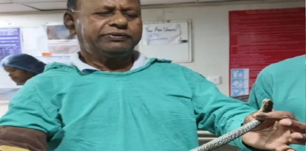 फालाकाटाको सुपर स्पेशियालिटी अस्पतालको अपरेशन थिएटरबाट सर्प उद्धार