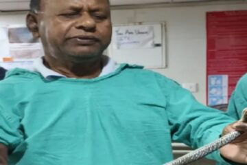 फालाकाटाको सुपर स्पेशियालिटी अस्पतालको अपरेशन थिएटरबाट सर्प उद्धार