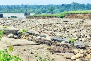 नगरकट्टाको 30 घर जलमग्न