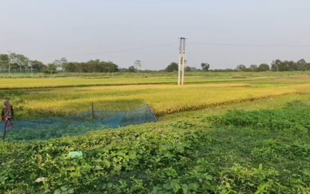 मालदाः  सीमा क्षेत्रमा खुशीको लहर, मुख्यमन्त्री सुभेन्दु अधिकारीद्वारा गरिएको वाचापछि फेन्सिङको काम चाँडै सुरु हुनेछ