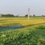 मालदाः  सीमा क्षेत्रमा खुशीको लहर, मुख्यमन्त्री सुभेन्दु अधिकारीद्वारा गरिएको वाचापछि फेन्सिङको काम चाँडै सुरु हुनेछ