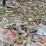 जमै षष्ठीको ठीक अगाडि धुपगुडीमा ‘आँप लुट’ भयो; हिमसागर आँपले भरिएको ट्रक सडकमा पल्टियो, गाउँलेहरू बोरा र बाल्टिन लिएर दौडिए