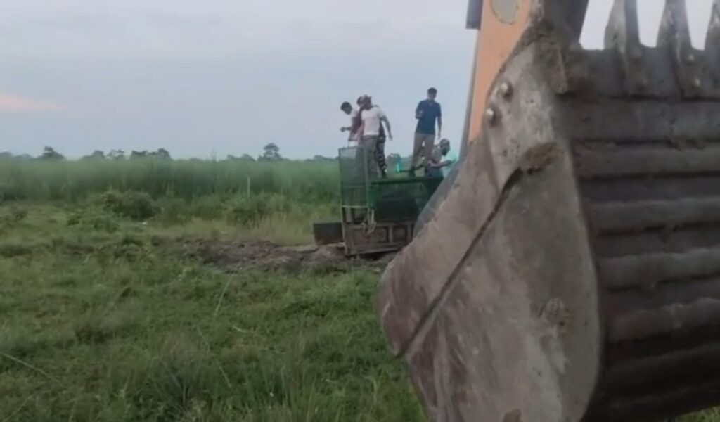 भाले गैंडाको आक्रमणबाट बच्न पोथी गैंडा र उसको बच्चा बस्ती भएको क्षेत्रमा प्रवेश गरे, आमाको मृत्यु भयो; वन विभागले बच्चालाई जंगलमा छोडिदियो